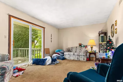16044 Delaware Cir, Cuba, IL 61427 photo 12
