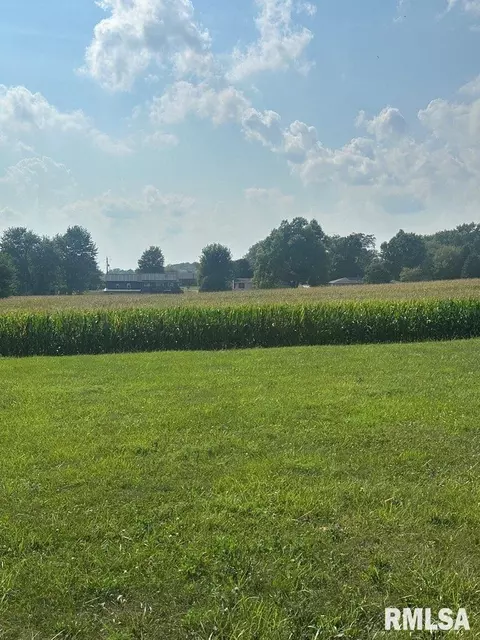 Adams Road, Eureka, IL 61530