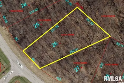 6026 Oak Run Dr, Dahinda, IL 61428
