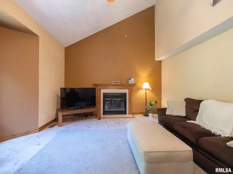 4917 S Lake Camelot Dr, Mapleton, IL 61547 photo 22