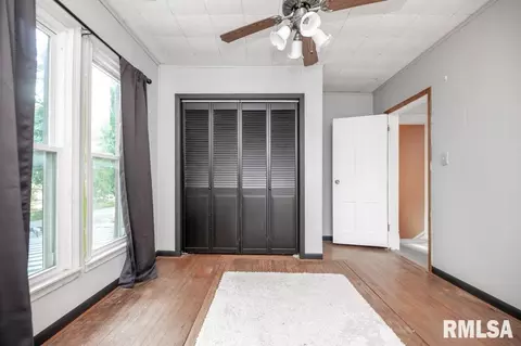 507 W 3rd St, Delavan, IL 61734 photo 48