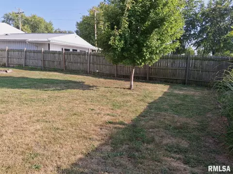Exterior - 335 S 5th Ave, Canton, IL 61520 photo 13 of 13