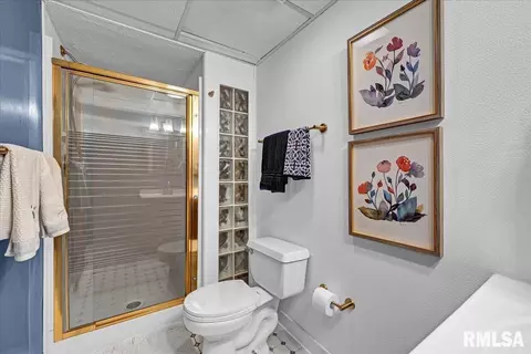 Bath - 306 Arbor Vitae Dr, Germantown Hills, IL 61548 photo 5 of 6
