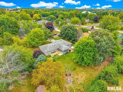 View/Area - 306 Arbor Vitae Dr, Germantown Hills, IL 61548 photo 3 of 7