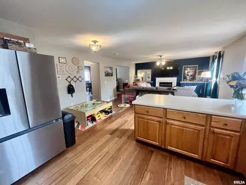 1003 Chippewa St, Normal, IL 61761 photo 10