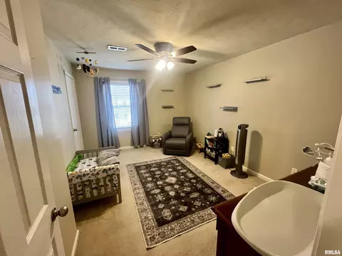 1003 Chippewa St, Normal, IL 61761 photo 25