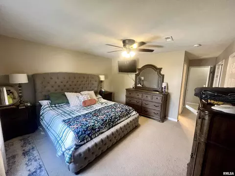 1003 Chippewa St, Normal, IL 61761 photo 20