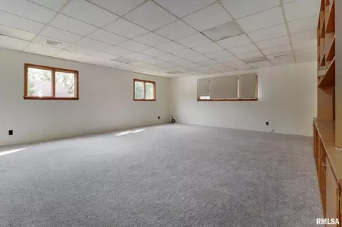 412 Elm St, Delavan, IL 61734 photo 25