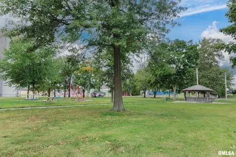 412 Elm St, Delavan, IL 61734 photo 33