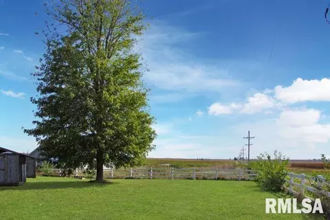 722 Springfield Rd, Delavan, IL 61734 photo 14