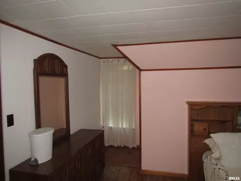 916 E Jackson St, Cuba, IL 61427 photo 24