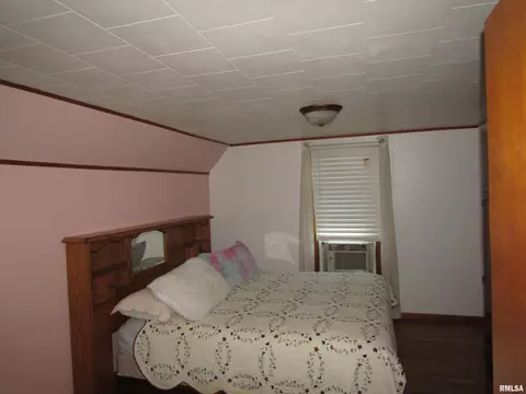 916 E Jackson St, Cuba, IL 61427 photo 23