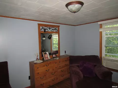 916 E Jackson St, Cuba, IL 61427 photo 28