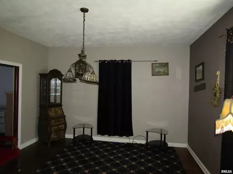 916 E Jackson St, Cuba, IL 61427 photo 33