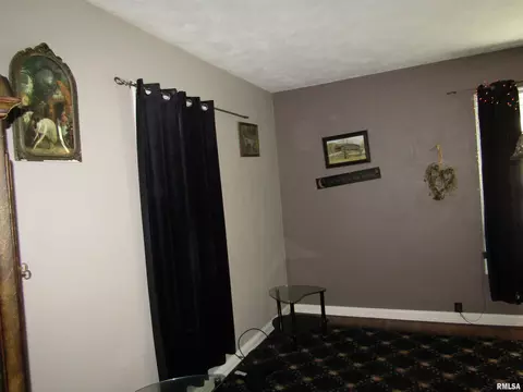 916 E Jackson St, Cuba, IL 61427 photo 17