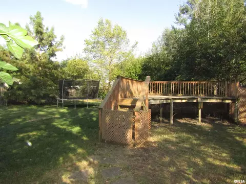 916 E Jackson St, Cuba, IL 61427 photo 48
