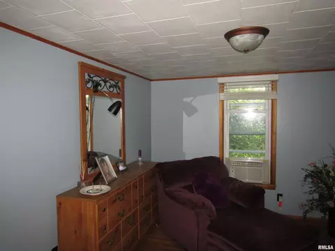 916 E Jackson St, Cuba, IL 61427 photo 27