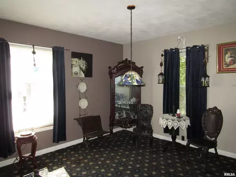 916 E Jackson St, Cuba, IL 61427 photo 20