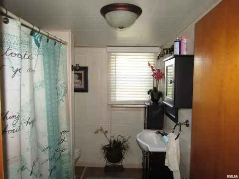 916 E Jackson St, Cuba, IL 61427 photo 25