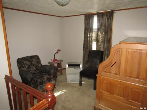 916 E Jackson St, Cuba, IL 61427 photo 32