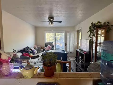 1140 E Myrtle St, Canton, IL 61520 photo 3