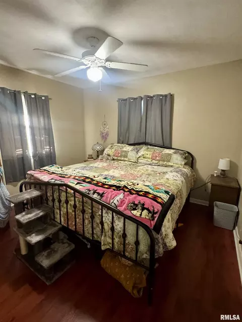 1140 E Myrtle St, Canton, IL 61520 photo 8