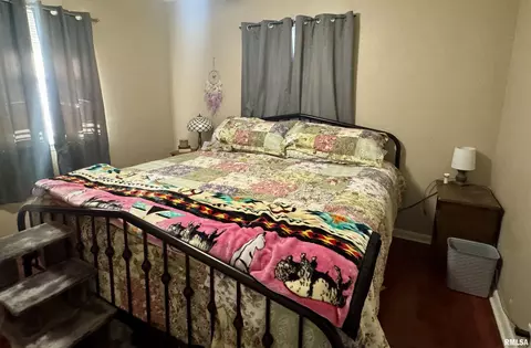 1140 E Myrtle St, Canton, IL 61520 photo 9