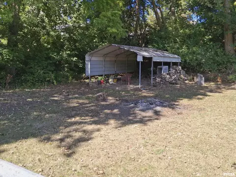 Exterior - 283 W Walnut St, Canton, IL 61520 photo 12 of 15