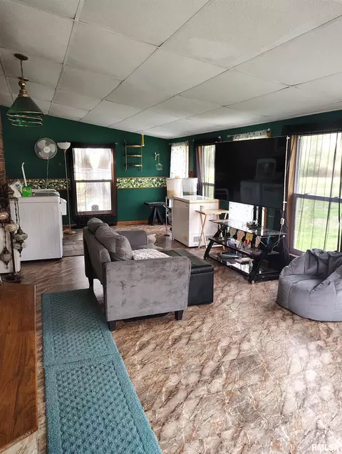 Living - 26588 Maplewood Ln, Canton, IL 61520 photo 7 of 7