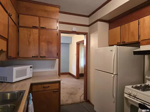 1195 S Main St, Canton, IL 61520 photo 22