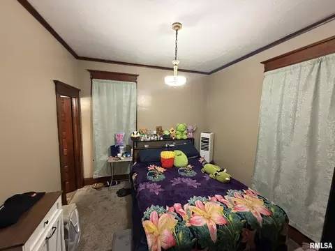 453 E Locust St, Canton, IL 61520 photo 6