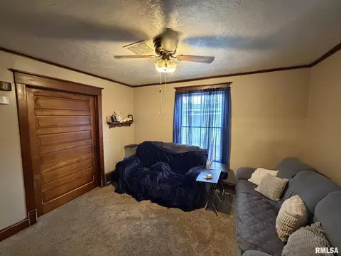453 E Locust St, Canton, IL 61520 photo 3