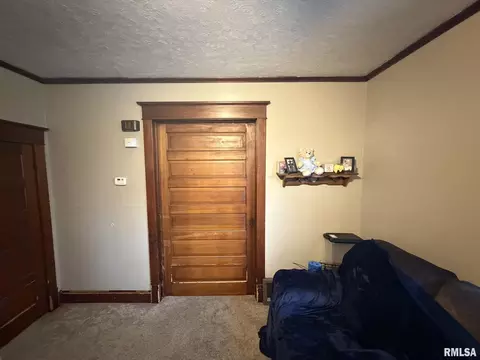 453 E Locust St, Canton, IL 61520 photo 4