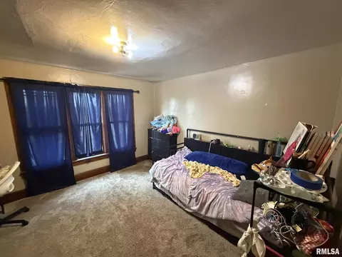 453 E Locust St, Canton, IL 61520 photo 8
