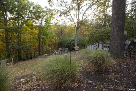 Exterior - 1320 W Cedar Hills Dr, Dunlap, IL 61525 photo 20 of 29