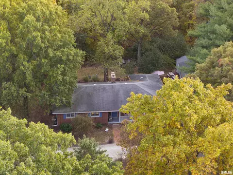 View/Area - 1320 W Cedar Hills Dr, Dunlap, IL 61525 photo 5 of 6