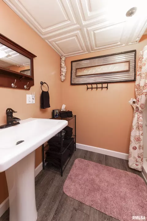 Bath - 1320 W Cedar Hills Dr, Dunlap, IL 61525 photo 3 of 3