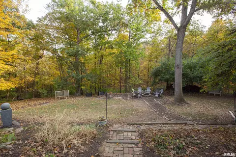 Exterior - 1320 W Cedar Hills Dr, Dunlap, IL 61525 photo 19 of 29
