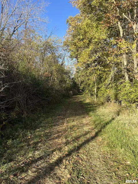 1591 Wiedman Rd, Metamora, IL 61548
