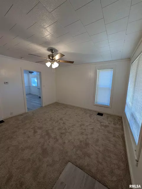 944 E Walnut Ave, Canton, IL 61520 photo 3