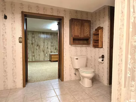 2 Rose Ct, Pekin, IL 61554 photo 33