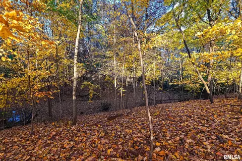 Other - 8810 S Mapleton Rd, Mapleton, IL 61547 photo 25 of 28