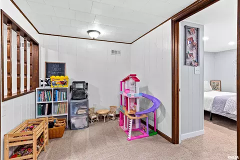 41 Forestview Rd, Morton, IL 61550 photo 37