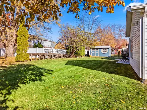 41 Forestview Rd, Morton, IL 61550 photo 47