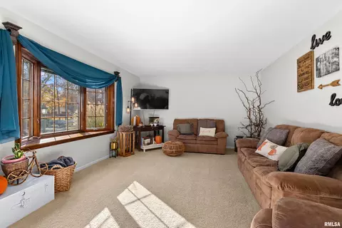 41 Forestview Rd, Morton, IL 61550 photo 6