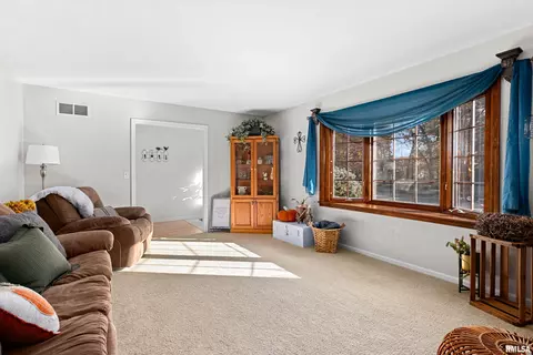 41 Forestview Rd, Morton, IL 61550 photo 8