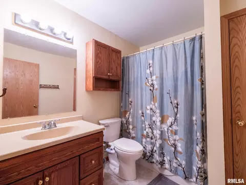 Bath - 6065 Locust Rd, Delavan, IL 61734 photo 2 of 3