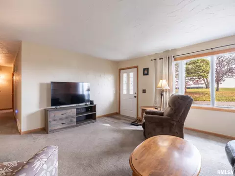 Living - 6065 Locust Rd, Delavan, IL 61734 photo 3 of 4
