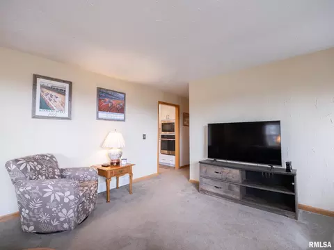 Living - 6065 Locust Rd, Delavan, IL 61734 photo 2 of 4