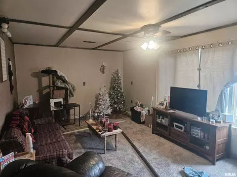 640 Grant Pl, Canton, IL 61520 photo 3